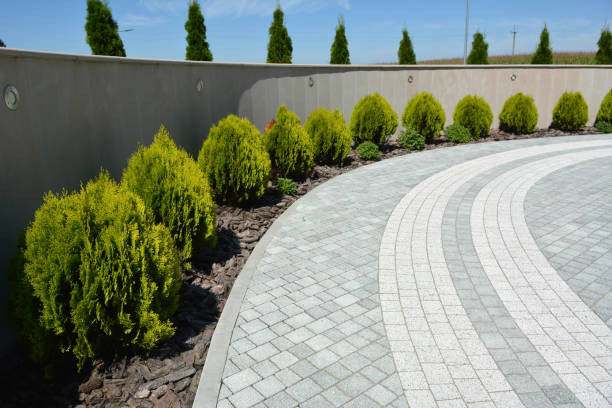 Best Decorative Driveway Pavers  in Ohkay Owingeh, NM